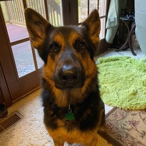 Meet your Posher, Catherine